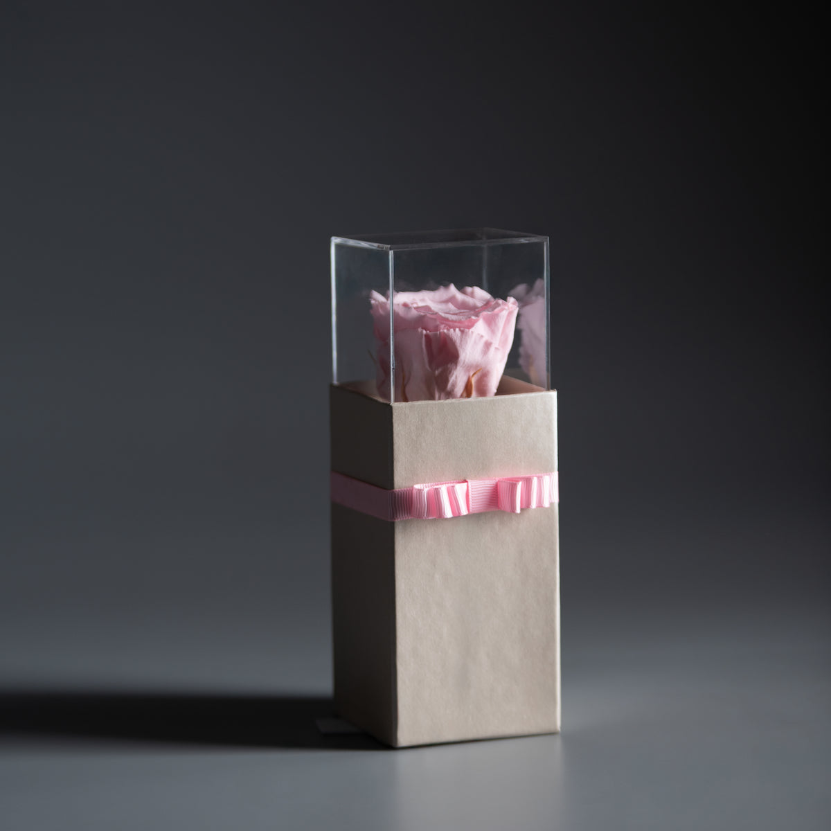 Blush Pearl Rose Box