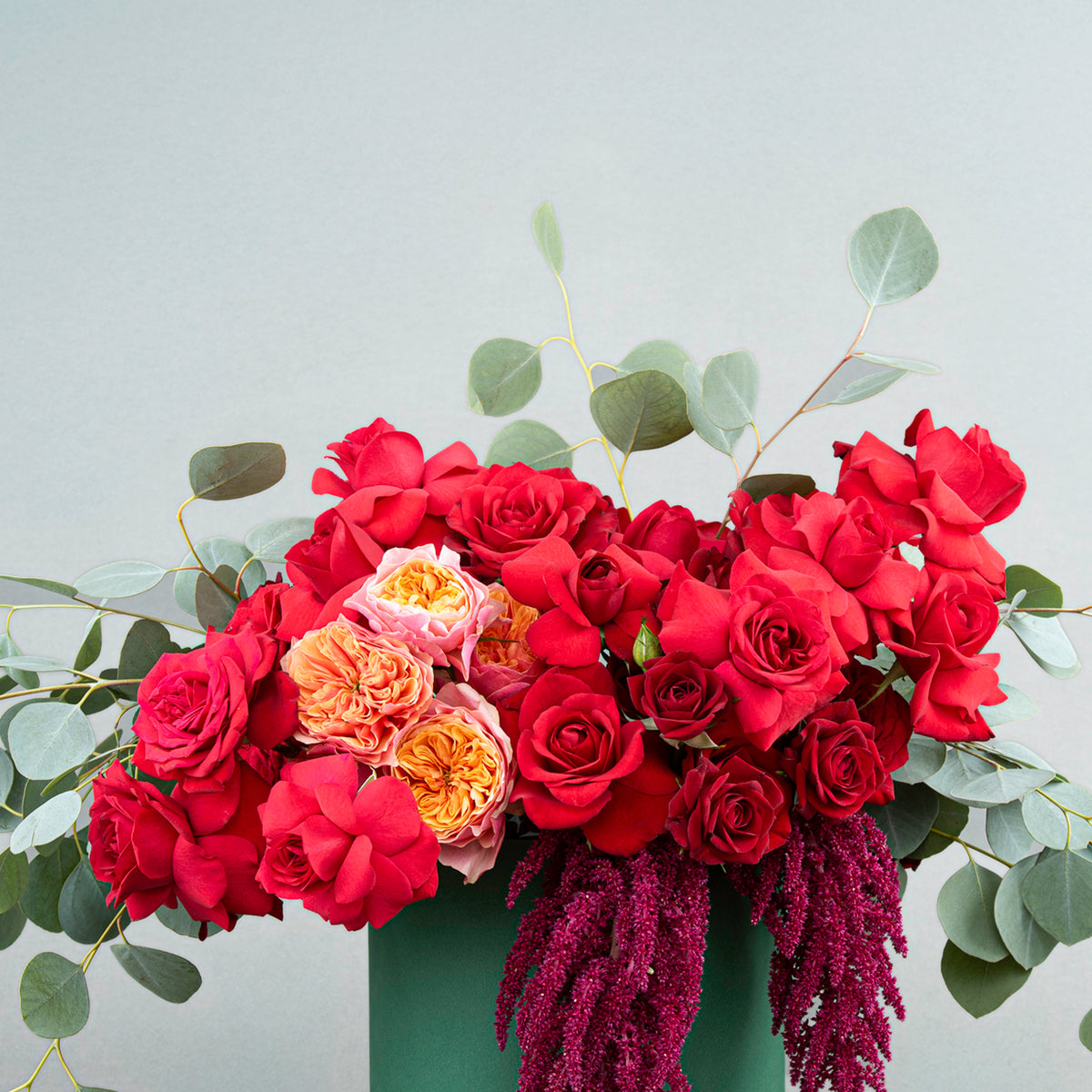 A Sophisticated Arrangement Red Roses with Eucalyptus, English Roses, and Amaranthus in Green Cylindrical Box