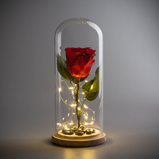 Classic Scarlet Rose Dome