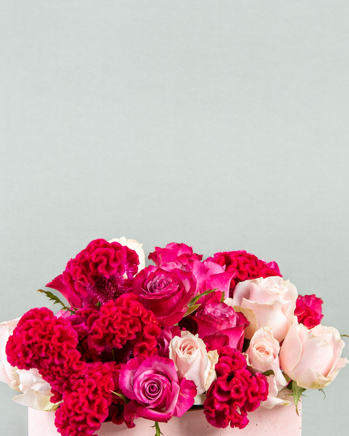 Vivid Blossoms: Sweet Celosia & Deep Purple Flowers in Rectangular Pink Concrete Planter
