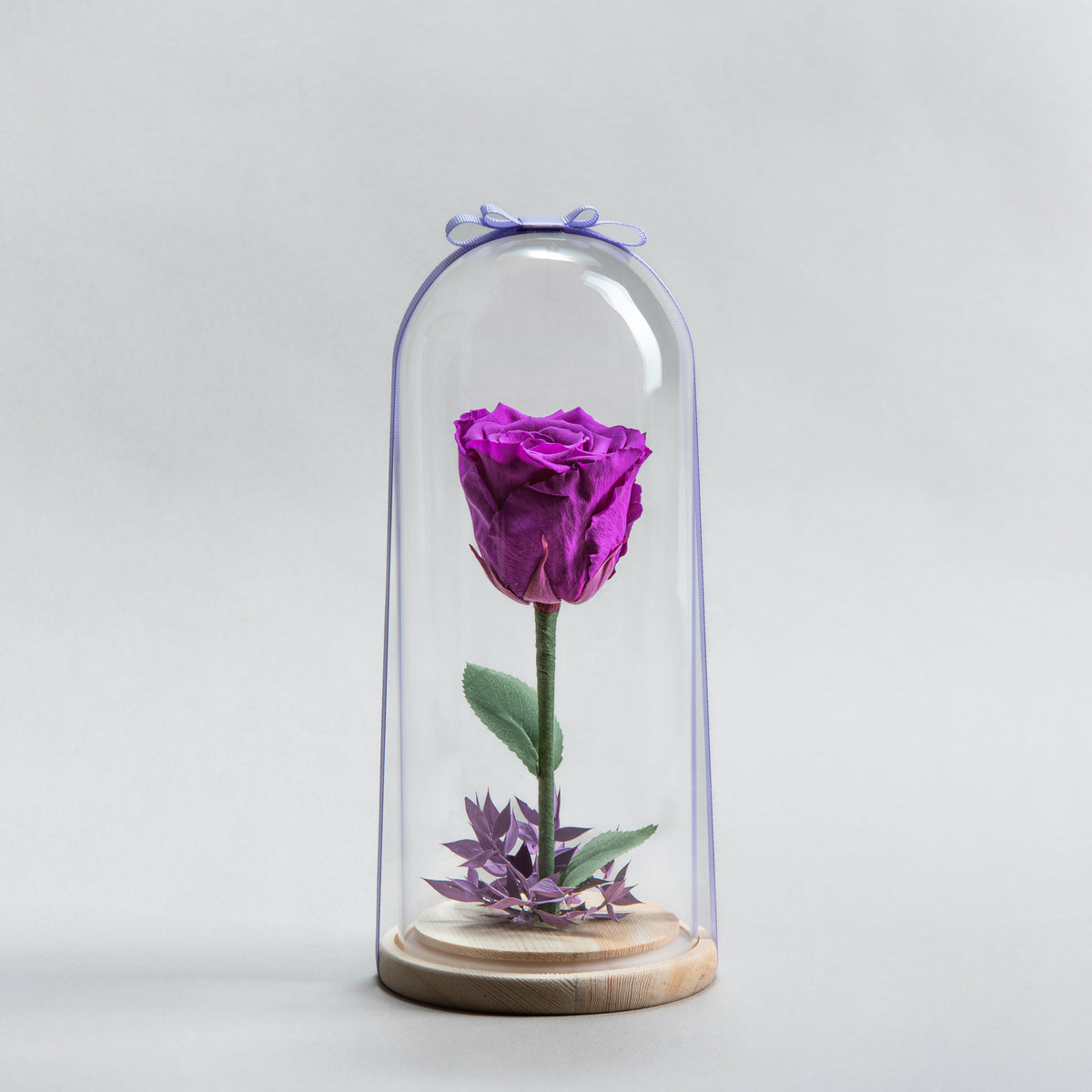 Purple Timeless Bloom Eternal Rose Purple