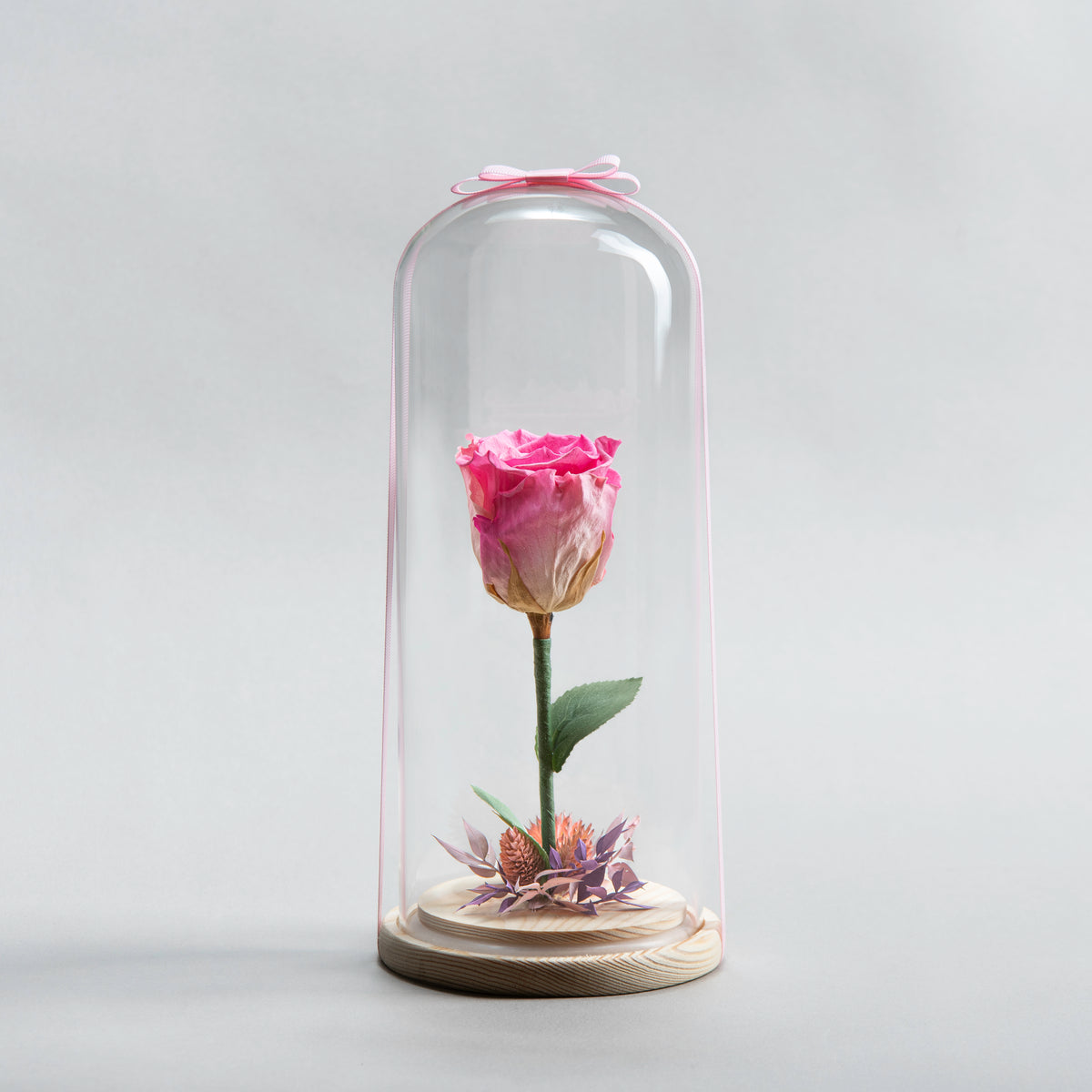 Timeless Bloom: Eternal Rose Fuschia